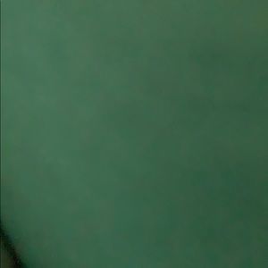 Meet your Posher, Bella